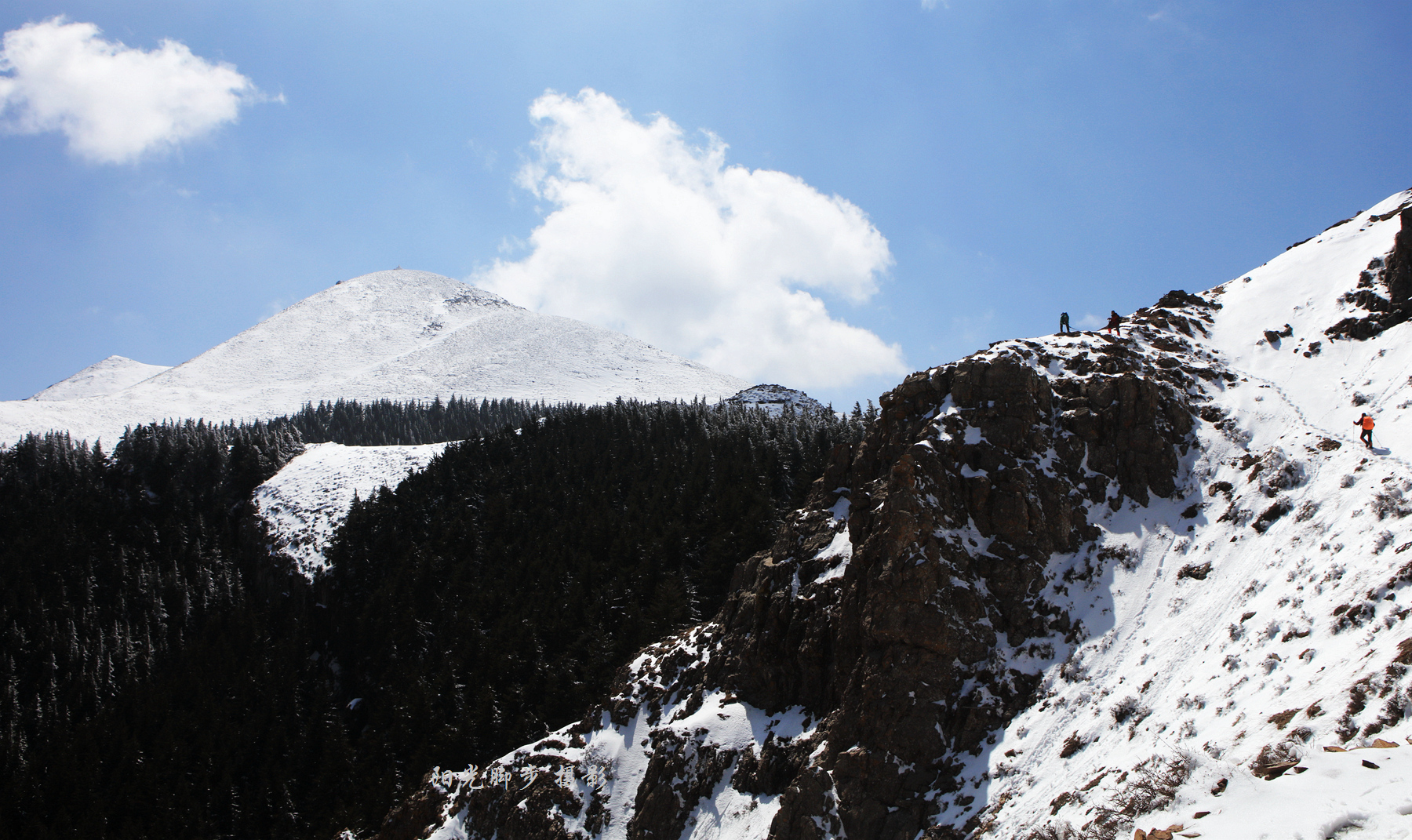 賀蘭晴雪——賀蘭山雪松與巴峰