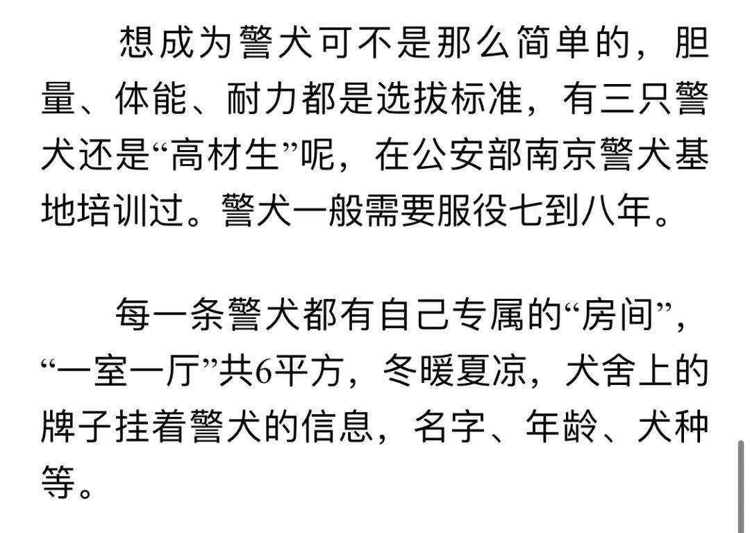 高大威猛的萌寵?這個假期,汪汪隊立大功!