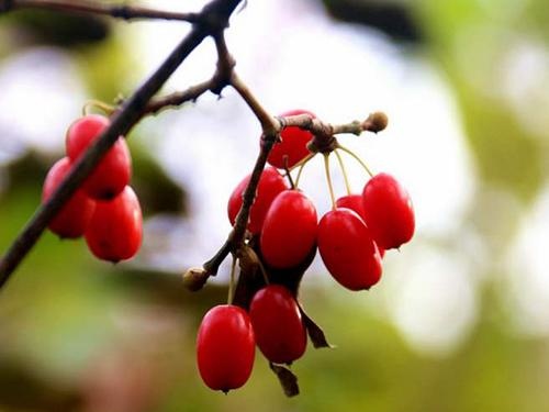 筱萸 baijiahao.baidu.com