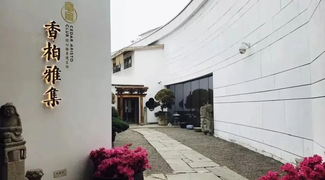 香柏雅集5周年品茗观盏感受传统文化魅力