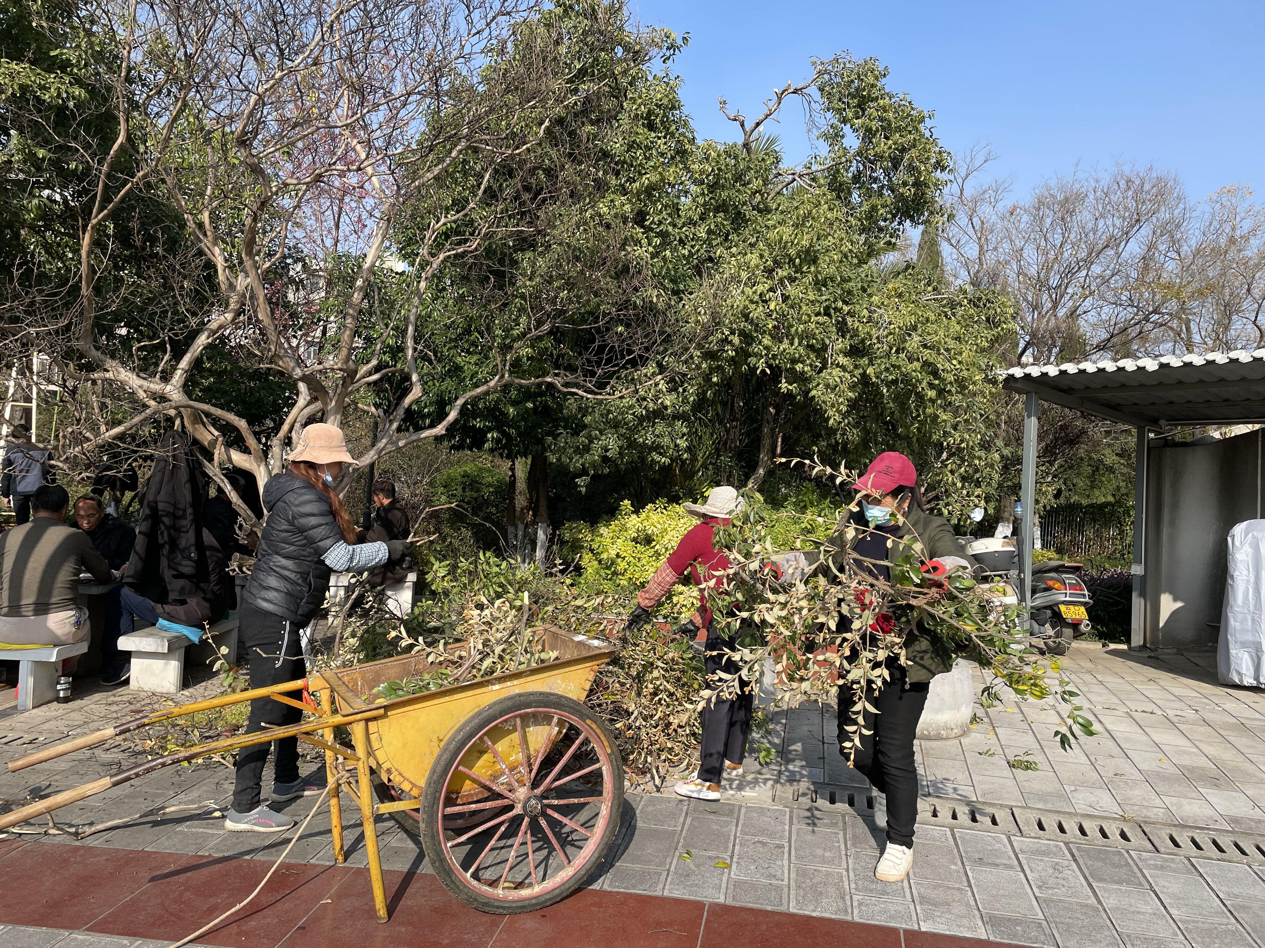 白石江公園雙管齊下打好園區護綠戰