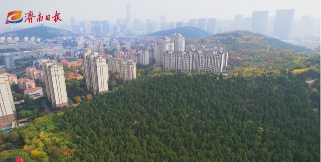 隐藏在济南市区的这座森林公园,此时漫山斑斓,景美还免费!