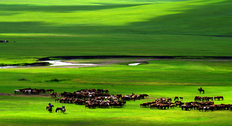 对牧区草原生态修复的认识与思考