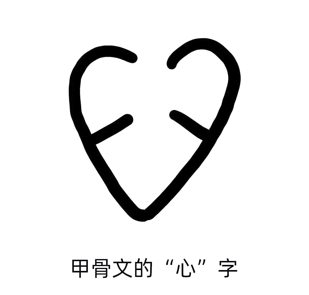 "心"字的历史演变与部首意义探秘