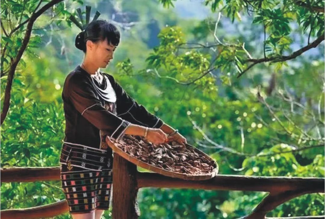 中医药旅游在游山玩水中品文化健身心