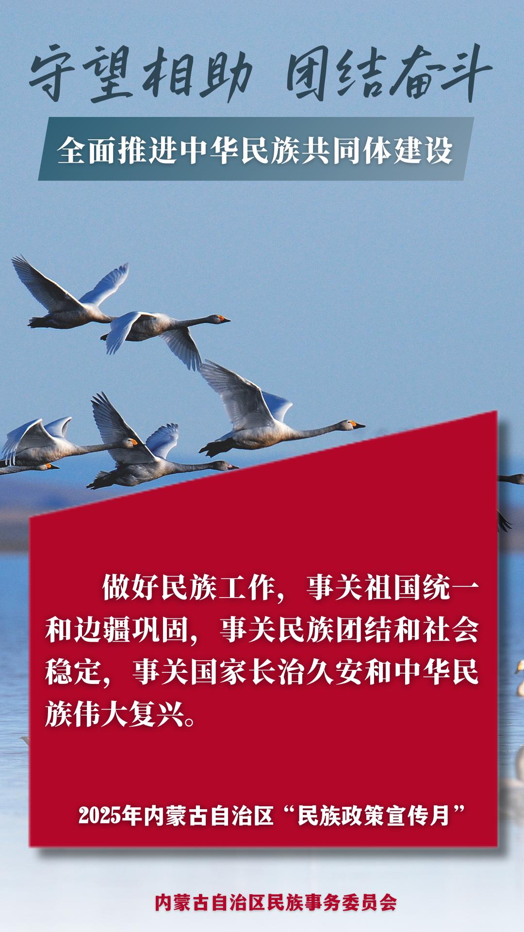 2025年内蒙古自治区"民族政策宣传月"海报来啦!