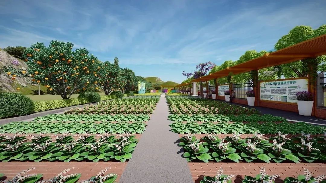 刚刚!宛城区给南阳二全的师生们特批了5亩地