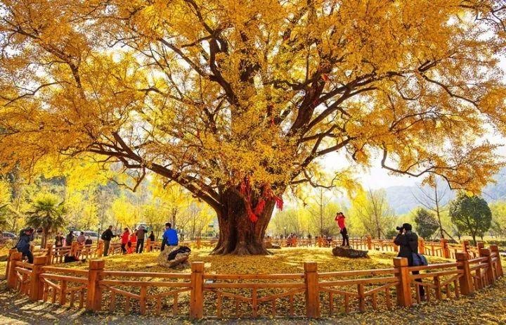 随州大洪山风景图片