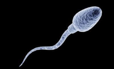 妈咪的!如何知道精子是否进入"天上人间"-第2张图片-西口博客