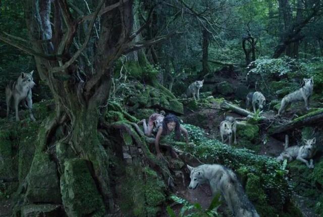 中国偏远地区的狼孩现象