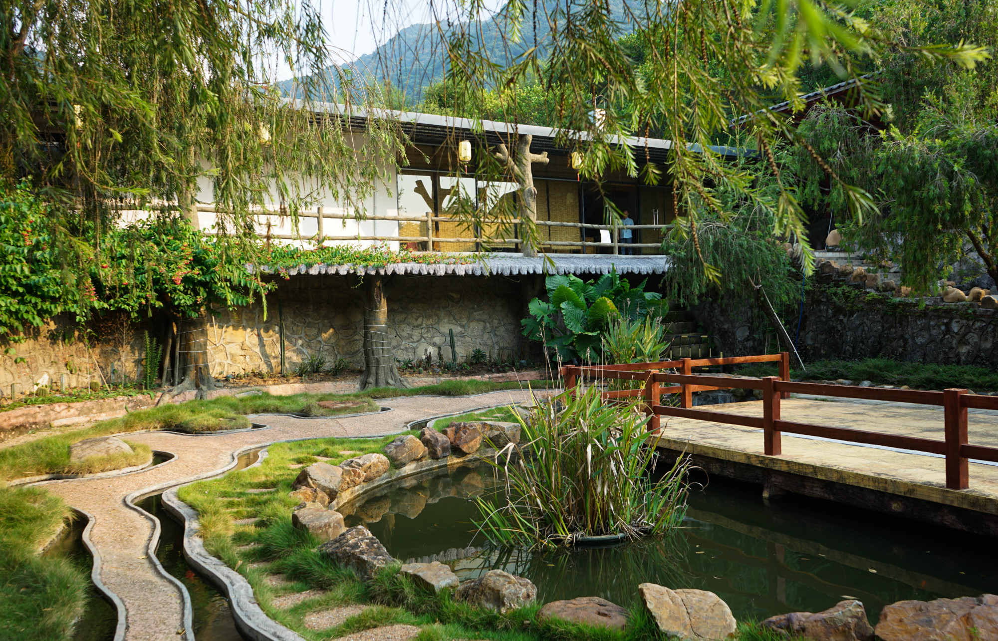 柿子红了柑橘正甜,从化这个3800亩花果庄园,摘果徒步性价比高!