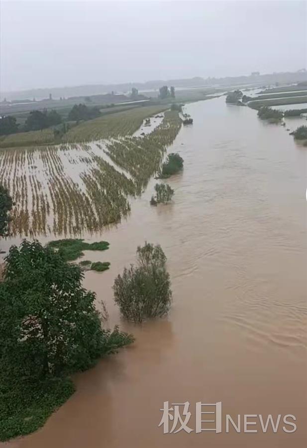 陕西大荔洪水图片