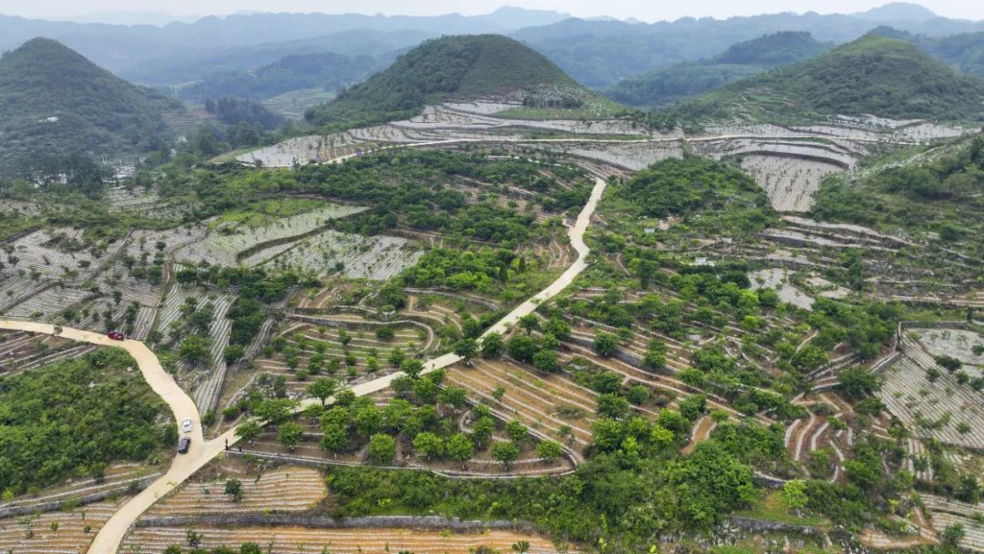 织金猫场镇全景图片