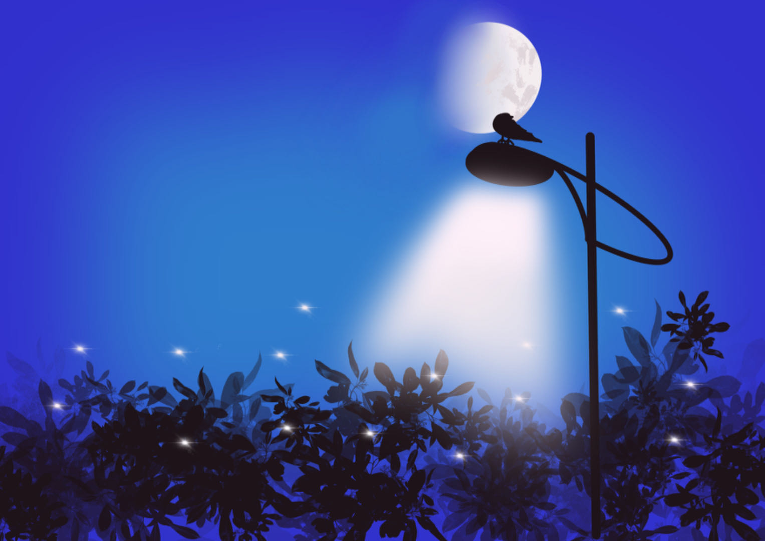 月光灯今晨我含着泪从梦中醒来,望着天花板脑子空白了好一会儿,才回过