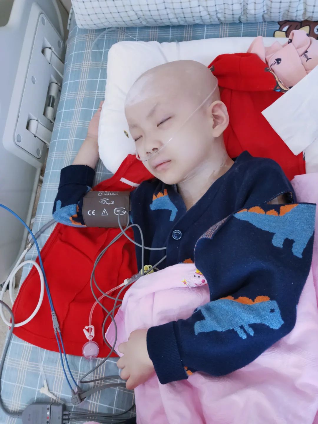 救救我!鄂尔多斯7岁小女孩抗争恶性肿瘤,让人心疼