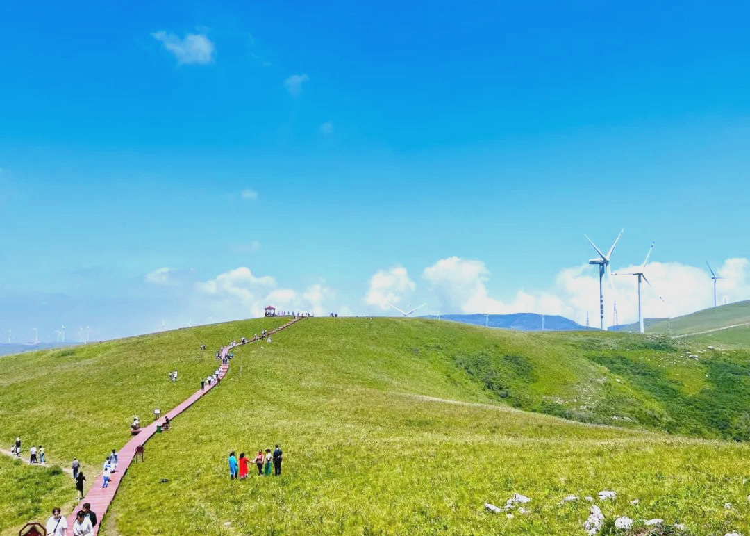 沁源花坡:体验草原风光,感受自然魅力