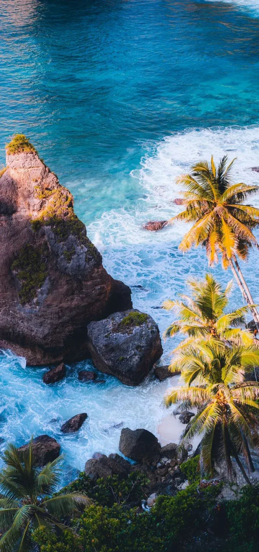 简约唯美手机壁纸,引领生活从简单到美好