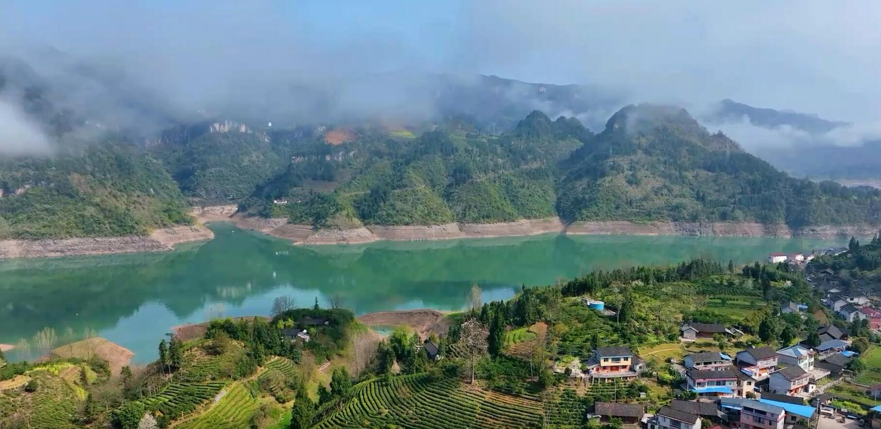 古丈县高望界:云雾茶园似仙境 旧庄茶香越千年