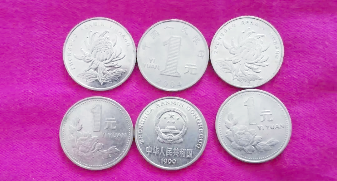 普通类型的"菊花一元"硬币,如1999年,2000年,2001年,2002年,2003年等