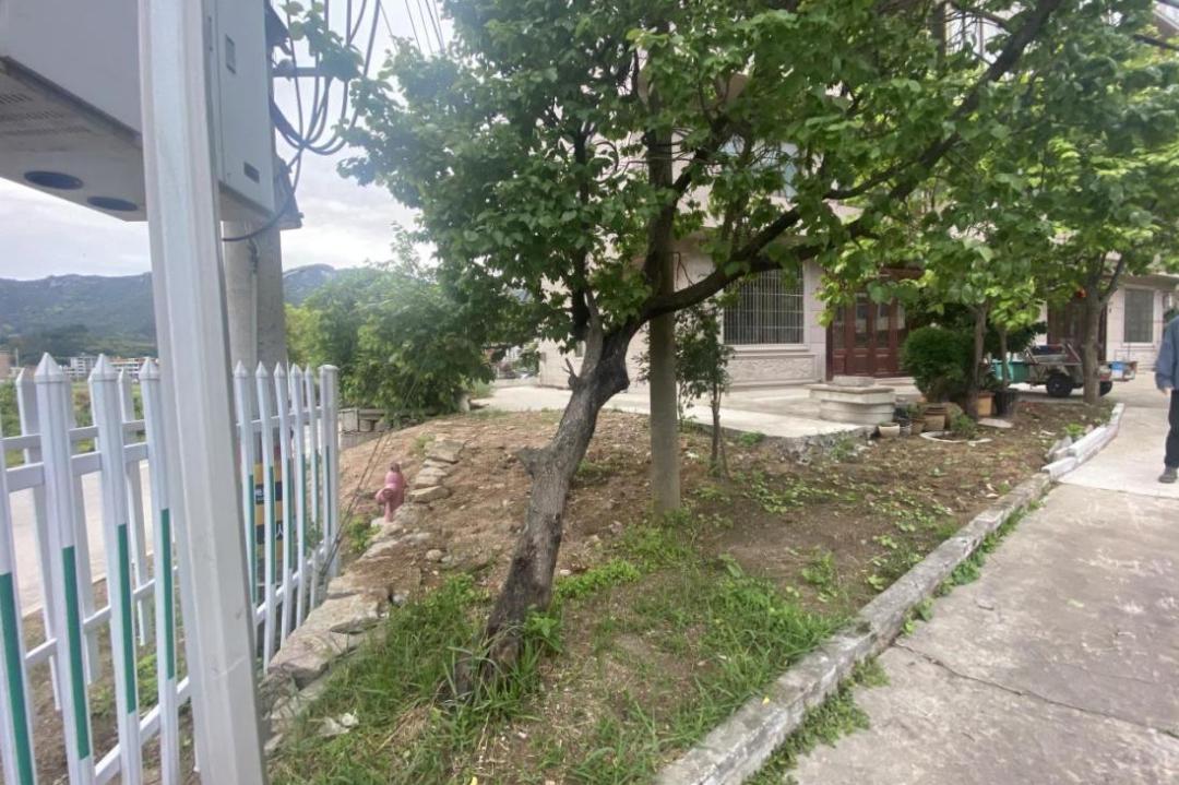 巾帼共创丨洞头区大门镇"一米菜园"大变身 助力和美乡村建设