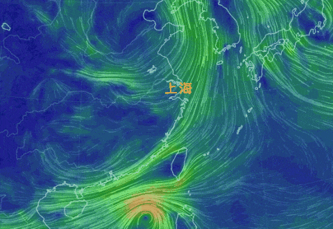 强冷空气到货！上海将迎最冷时段，郊区低至7℃……台风联手冷空气，影响如何？
