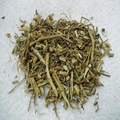 抗癌中草药:蜀羊泉