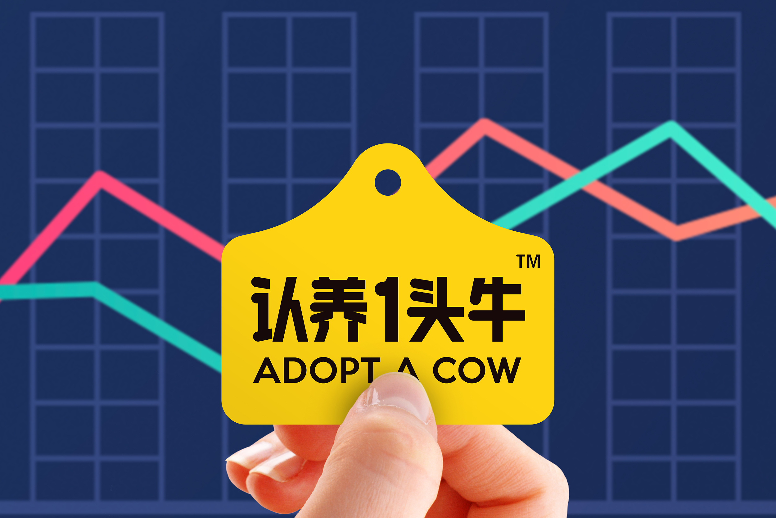 是否涉传销?认养一头牛遭遇证监会"灵魂48问"