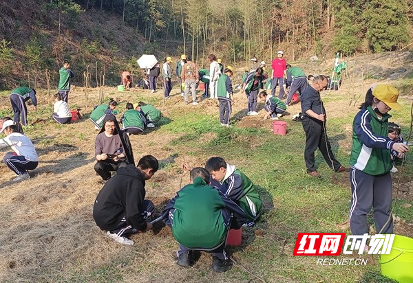 澧县一中龙氏班:"种"下希望,拥抱春天