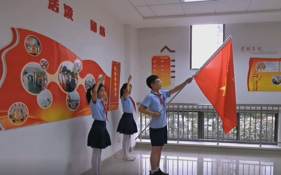 少先队队旗队徽全解析:标准与使用指南