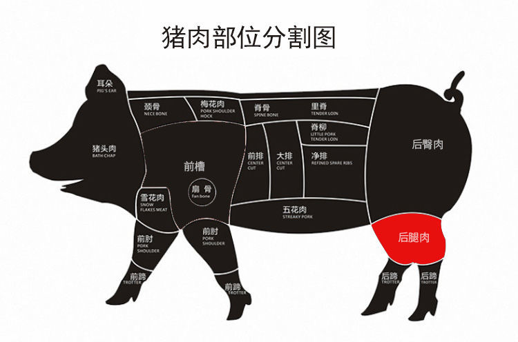 里脊肉图片部位图片