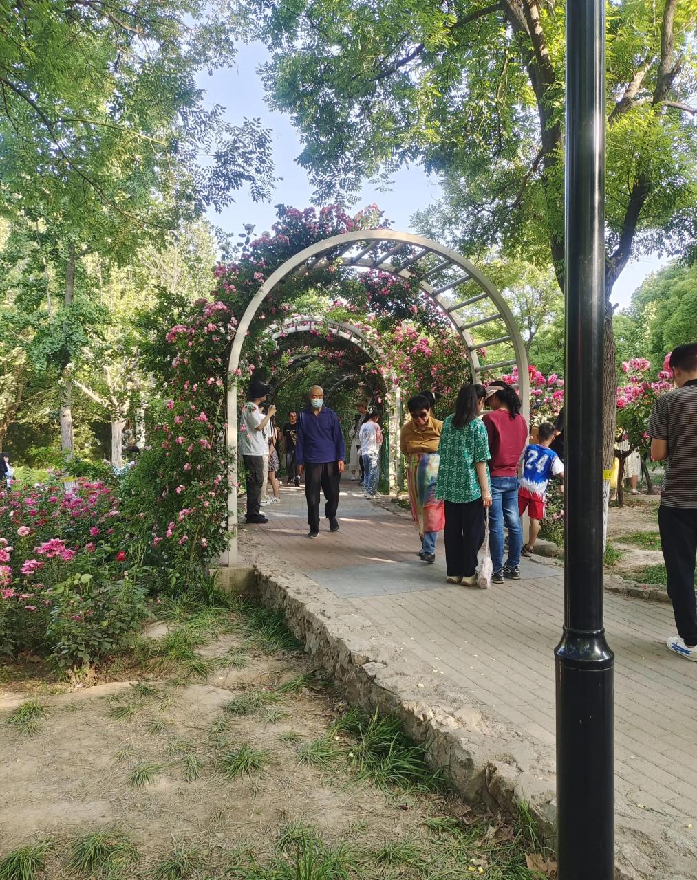 石家庄东环公园真心不错,相比于世纪公园,长安公园,体育公园,裕西公园