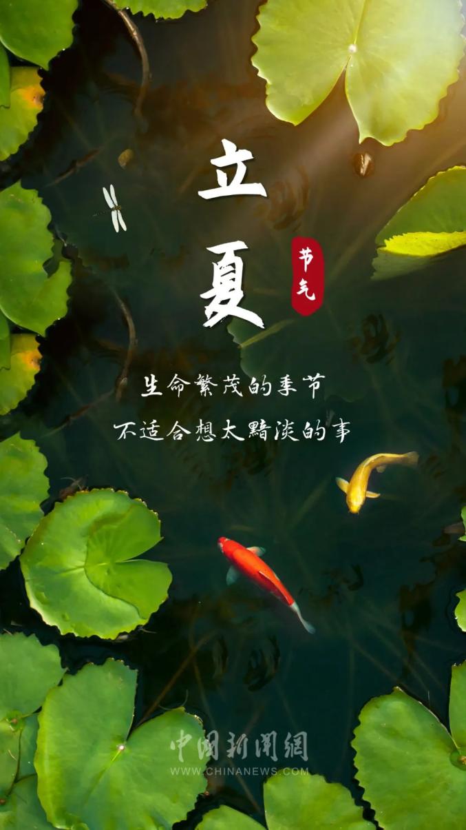 你好,夏天!立夏朋友圈文案来了