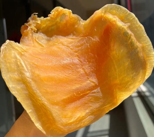 15年老渔民告诉你台山赤嘴鱼胶的价格一般多少钱