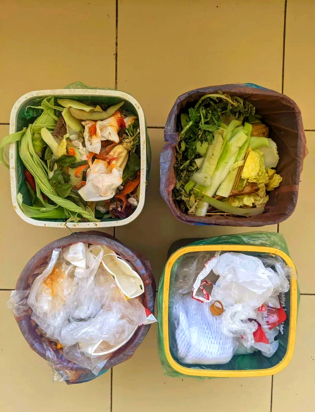 厨余垃圾处理器为何未能持续流行?了解真相,避免后悔
