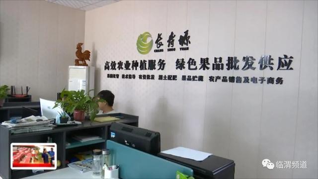 渭南长寿塬果业种植农民专业合作社:做群众脱贫致富"领头雁"
