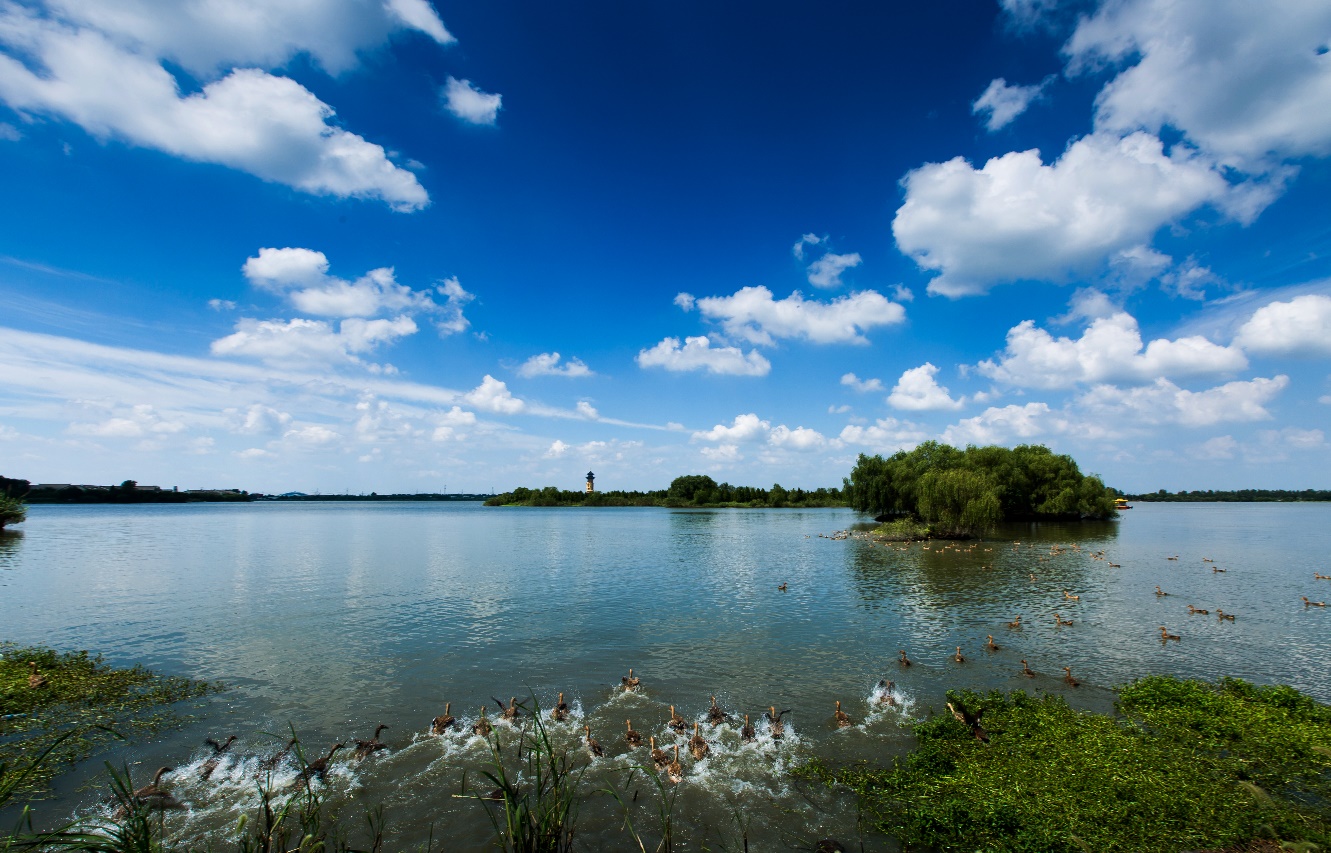 灵韵三水,康养名城……泰州姜堰:不断擦亮高颜值生态底色