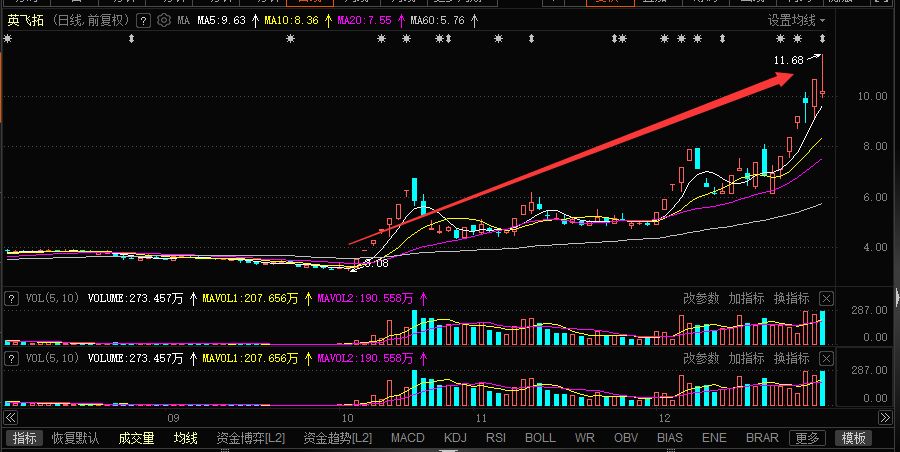 牛散徐开东图片