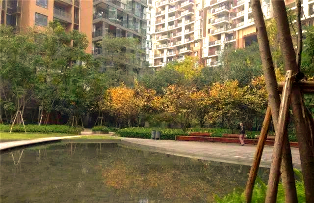 龙湖春森彼岸:奢华品质生活的理想选择