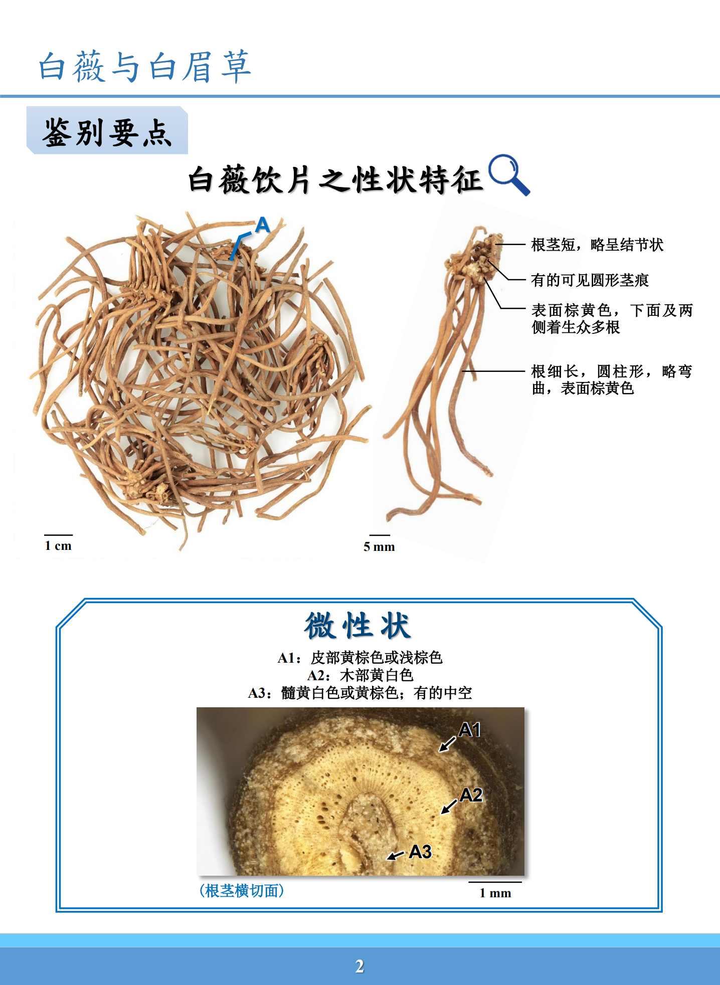 白薇與白眉草藥材鑑別