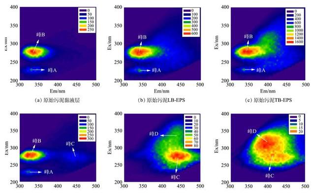 合成有机染料的三维荧光表征分析