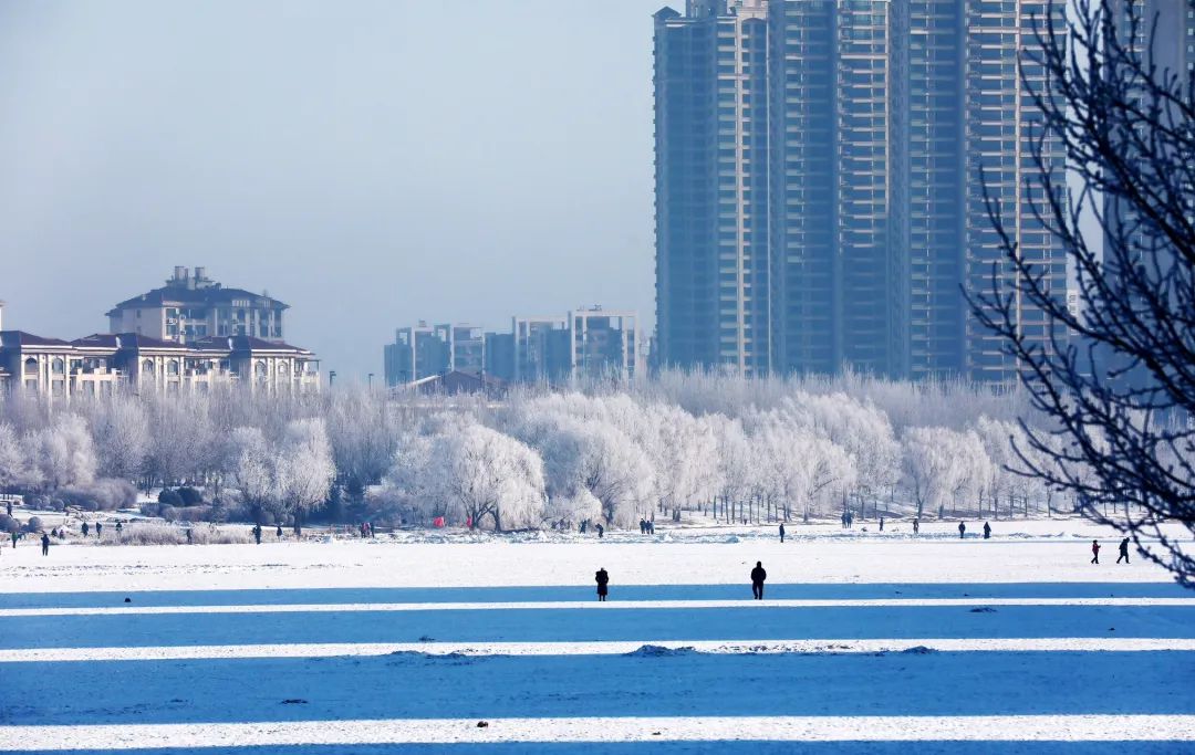 鞍山下雪图片图片