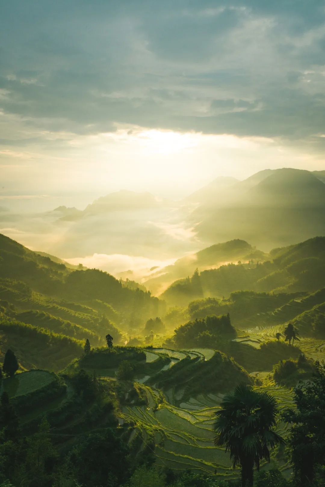 这座浙江小城为什么这么仙