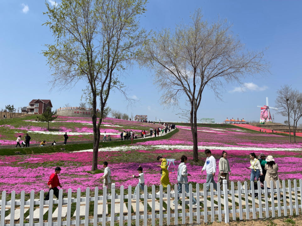 莱阳濯村樱花悠乐园图片