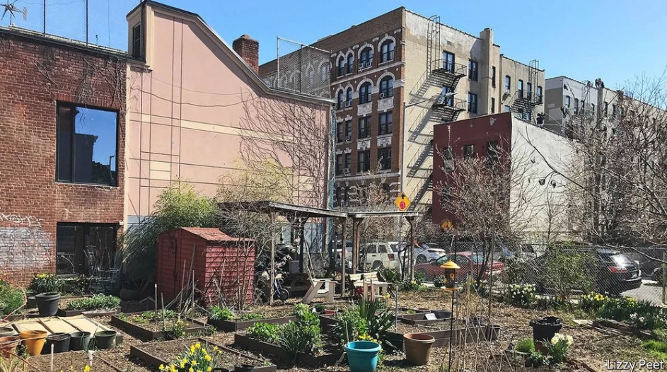 「经济学人」urban gardening