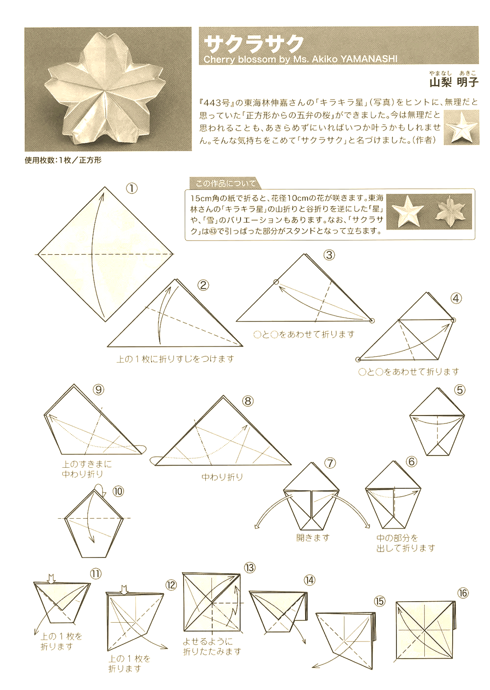 正方形纸折出五瓣樱花的方法