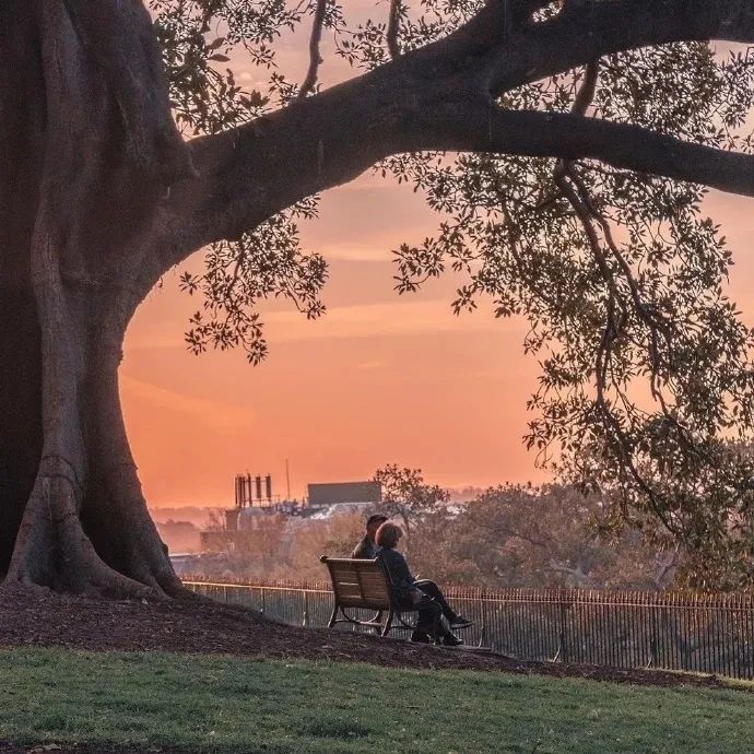 朋友圈背景图大全丨想要素雅