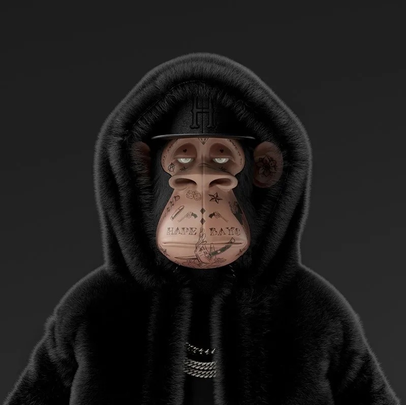 nft猿猴头像高清图片