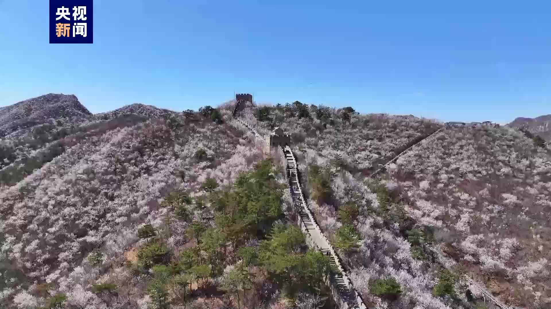 山花 长城 湖泊,北京怀柔水长城点亮梦幻春景