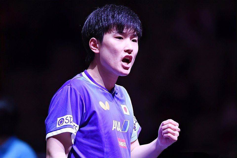 张本智和日本选手激动庆祝比赛胜利