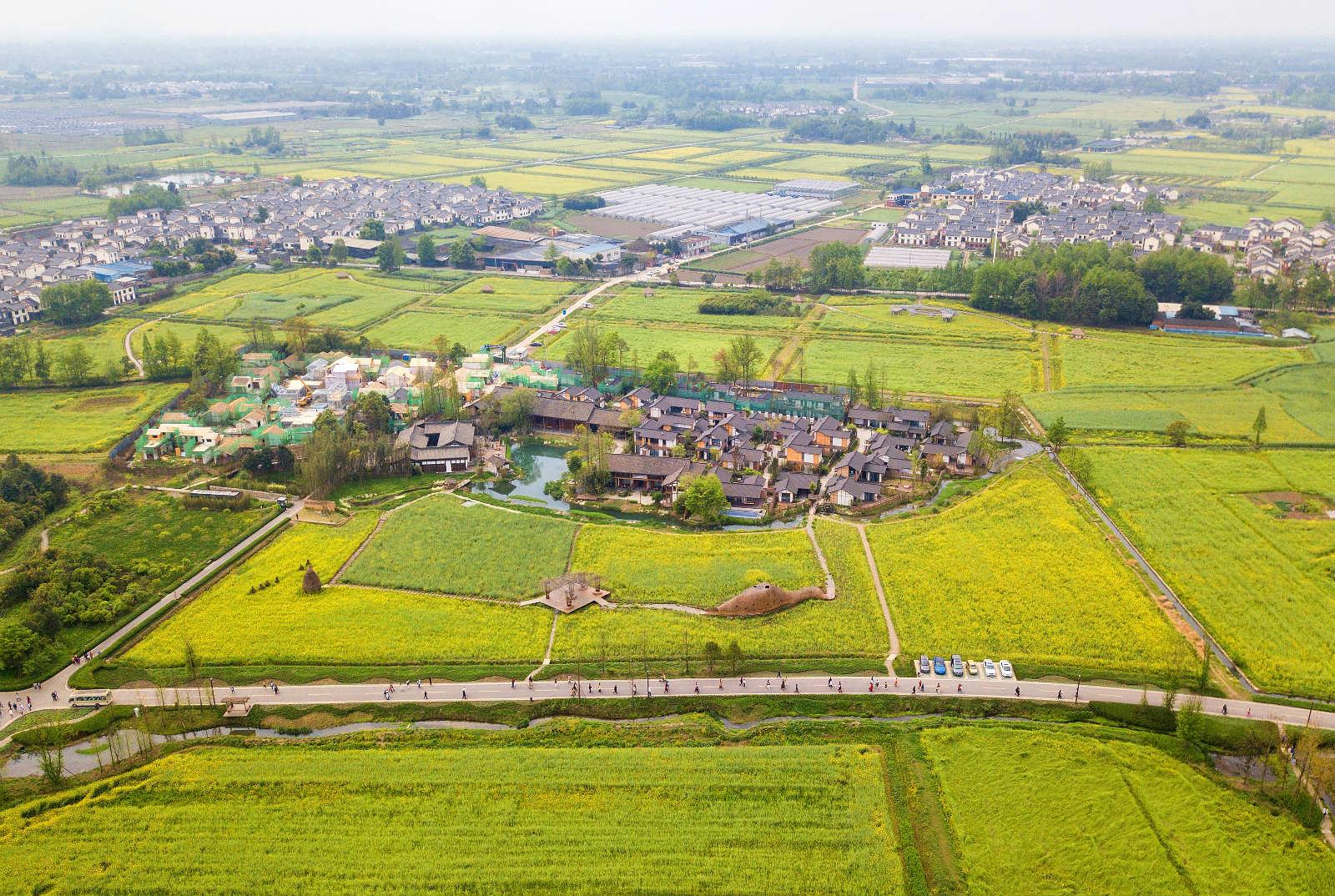 极美成都:大邑县川西林盘农业公园产景相融 打造"稻乡渔歌"林盘聚落